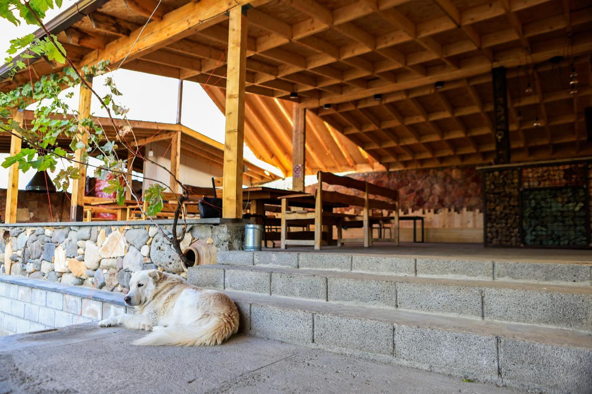 Areni Wine Art Bed & Breakfast Екстериор снимка
